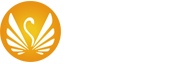 中强瓷业